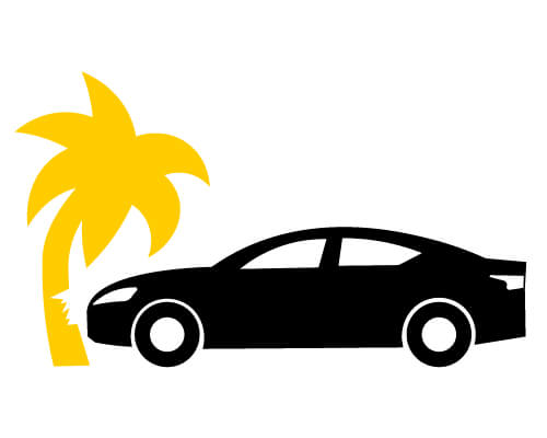 Illustration of car collision with palm tree.